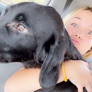 Meet your Posher, Layla